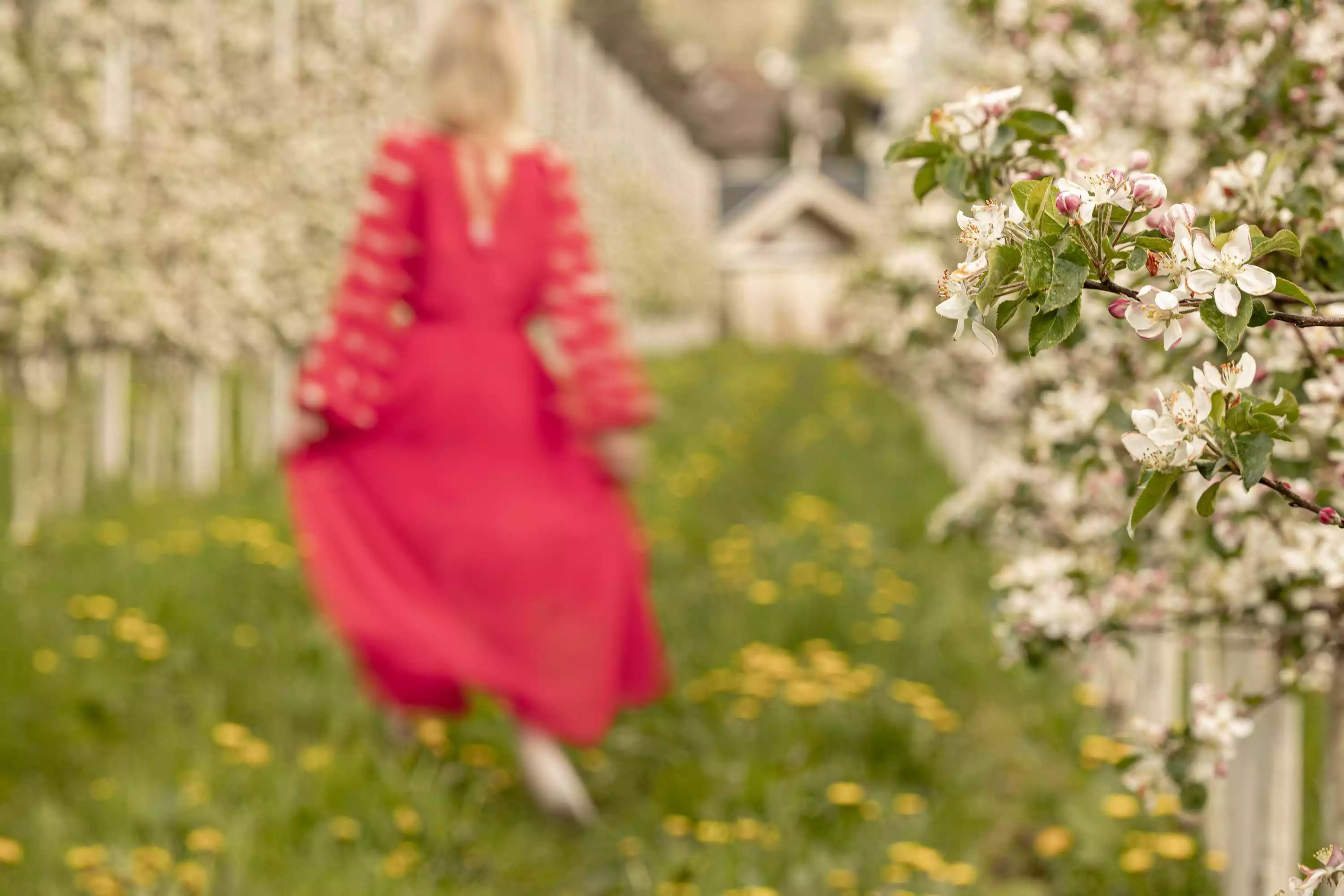 Chalets im Apfelgarten Südtirol Amolaris Lodges