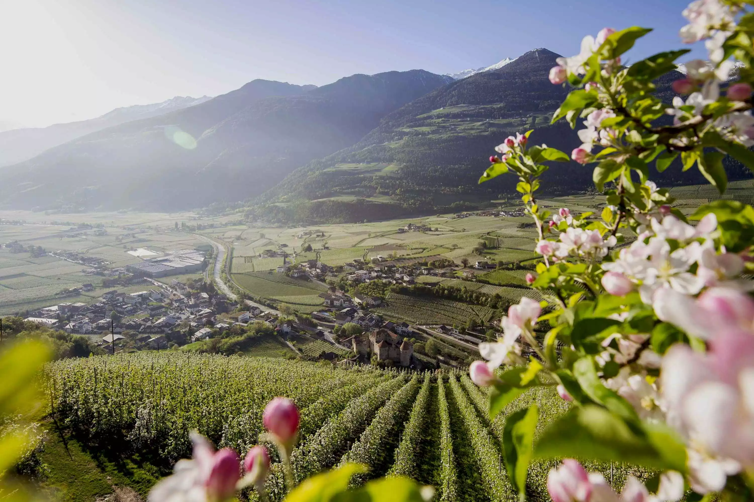 Urlaub im Vinschgau Südtirol Amolaris Natur Ruhe Berge