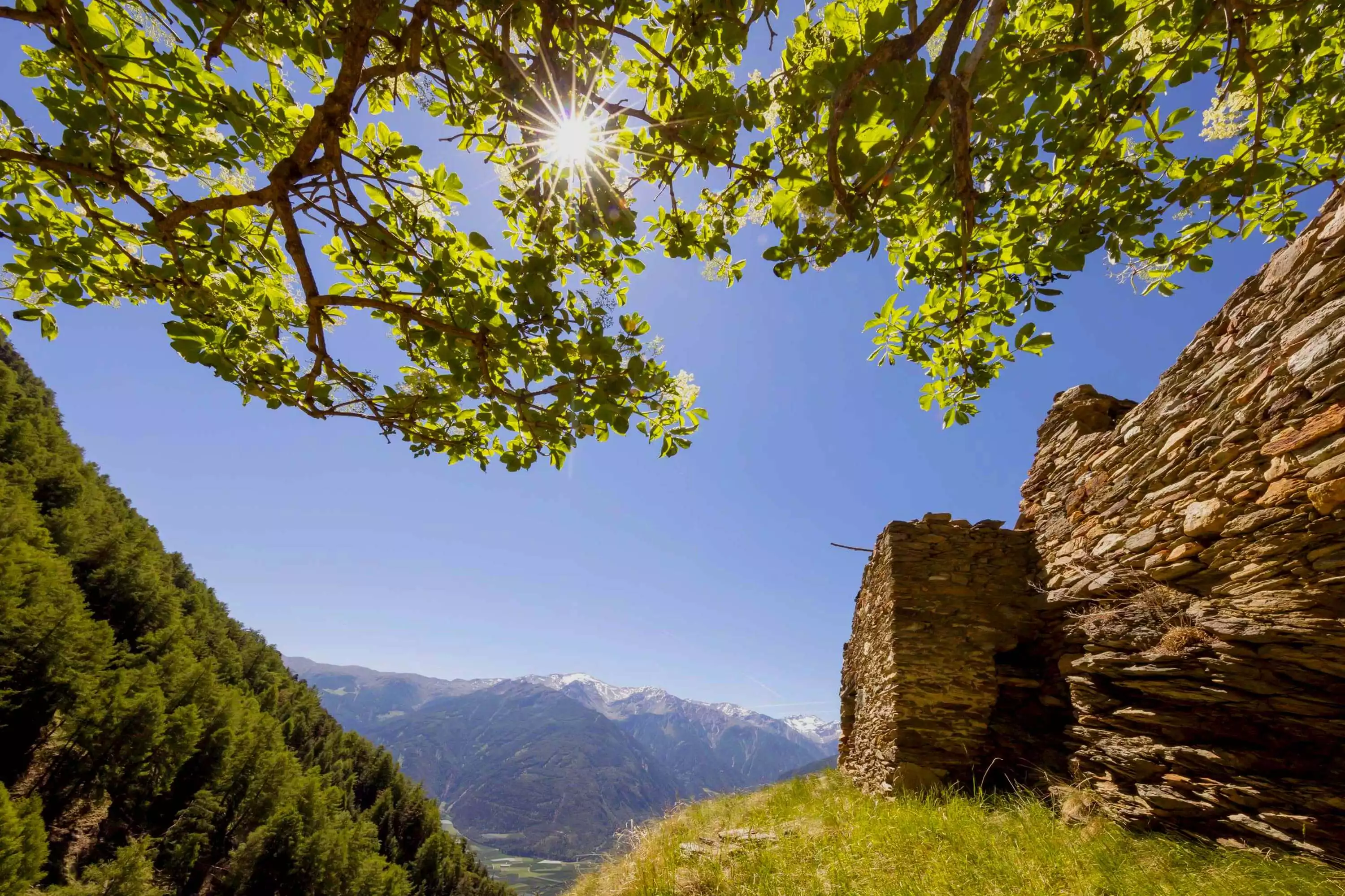 Urlaub in Südtirol Vinschgau Amolaris
