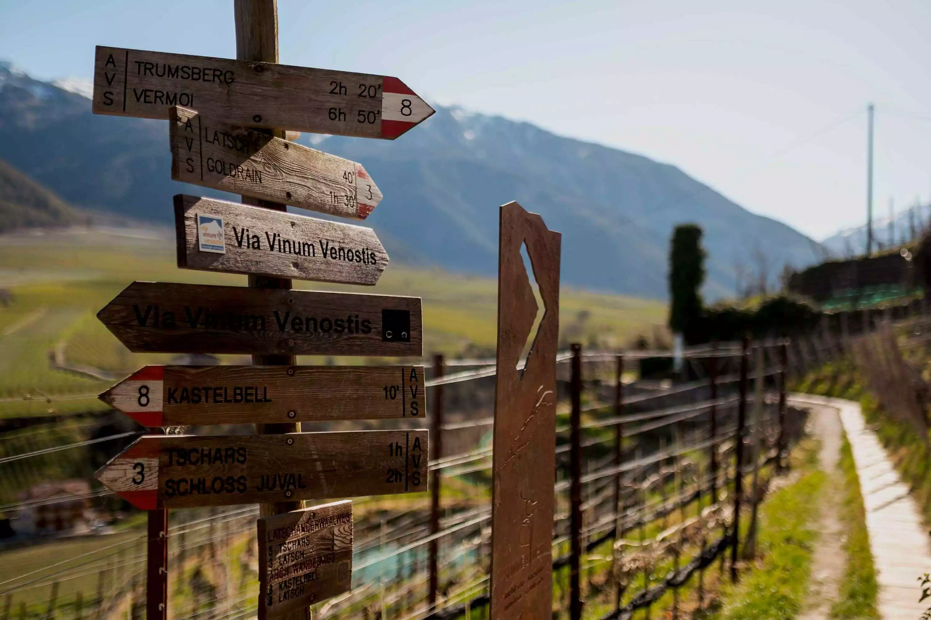 Wandern in Südtirol Vinschgau Amolaris