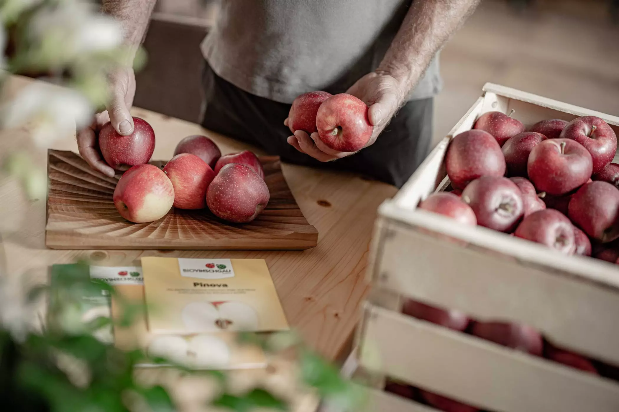 Chalets im Apfelgarten Südtirol Amolaris Lodges