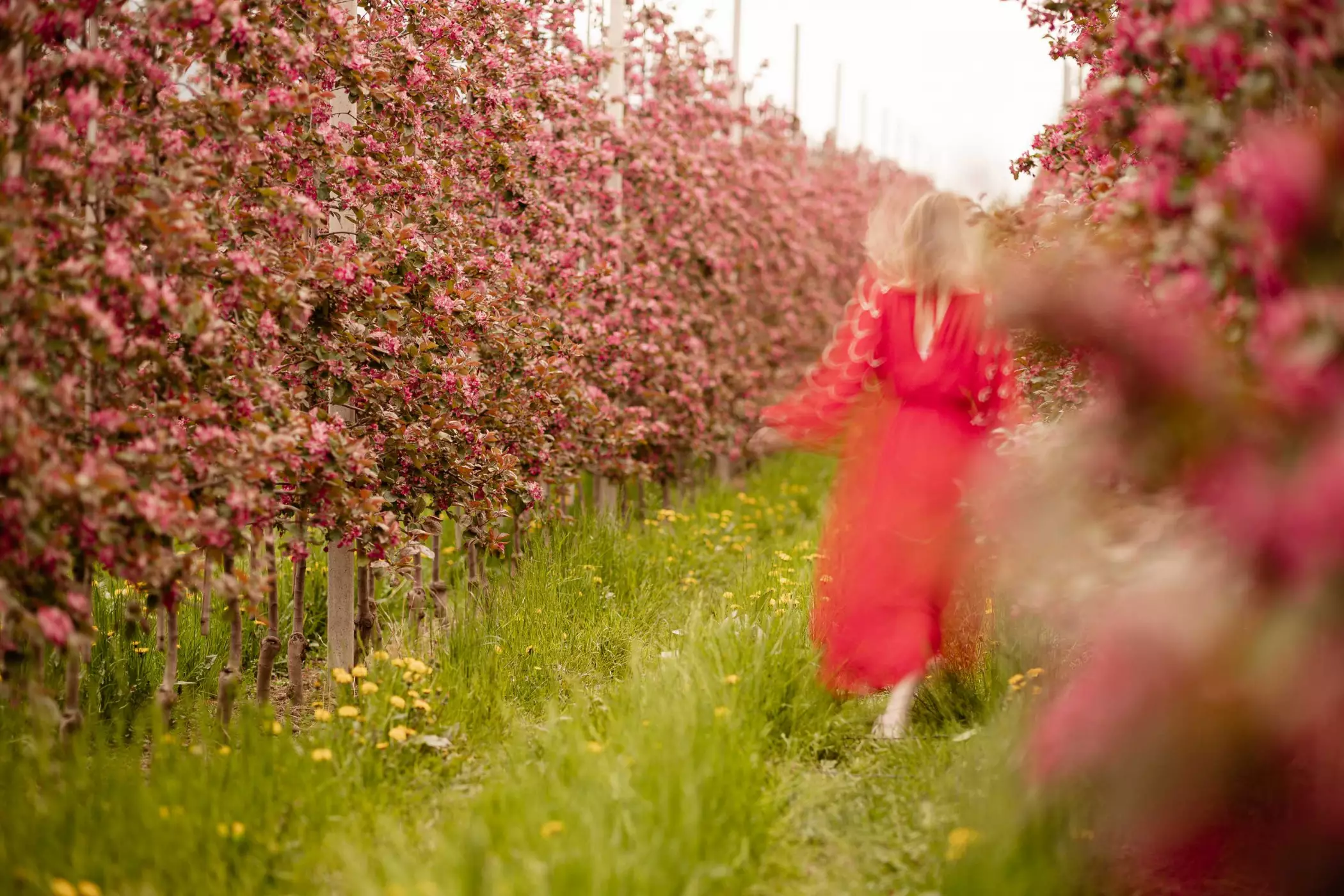 Hideaway Urlaub Südtirol