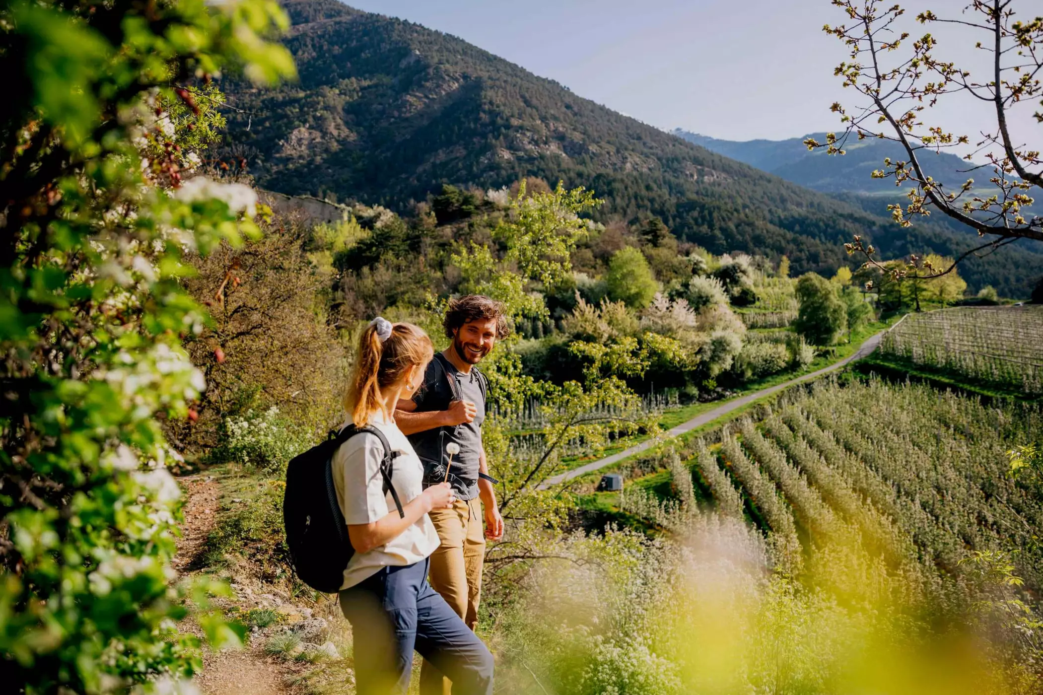 Urlaub im Vinschgau Südtirol Amolaris Natur Ruhe Berge