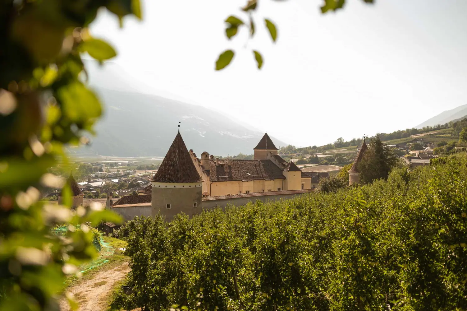Urlaub im Vinschgau Südtirol Amolaris Natur Ruhe Berge